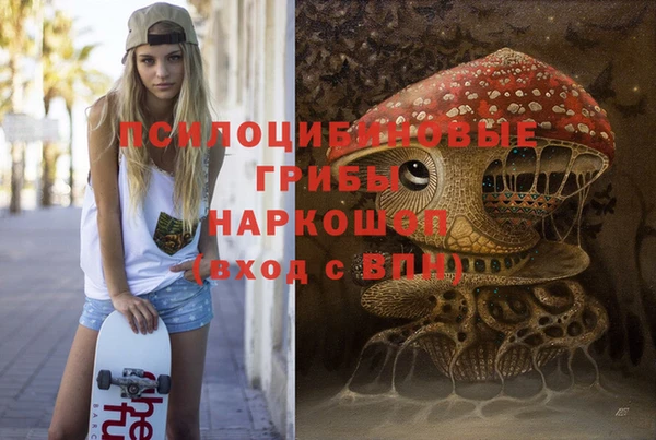 ешки Волосово